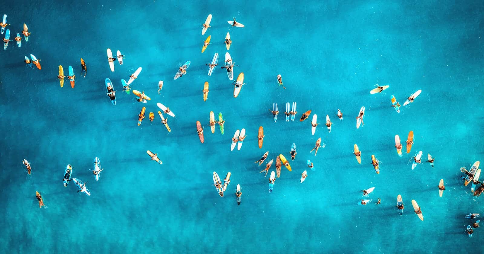 paddle out ceremony