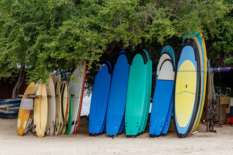 soft surfboards